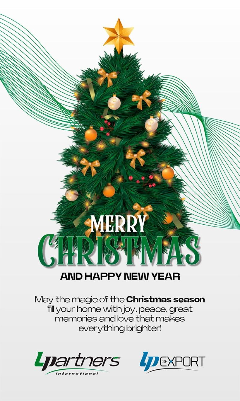 Merry Christmas and a Happy New Year of 2025!